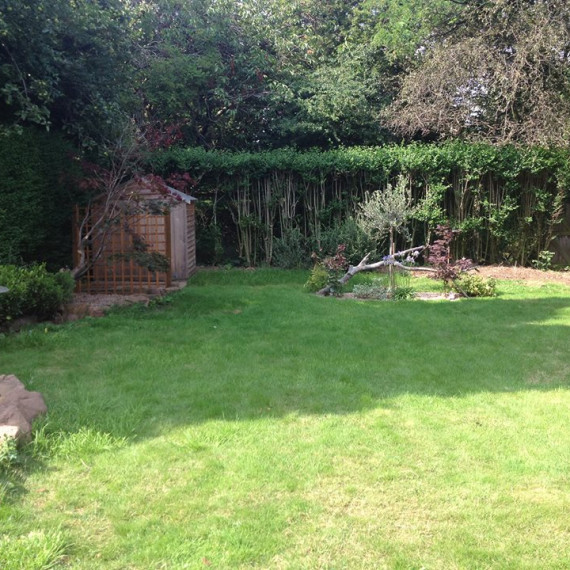 Garden1